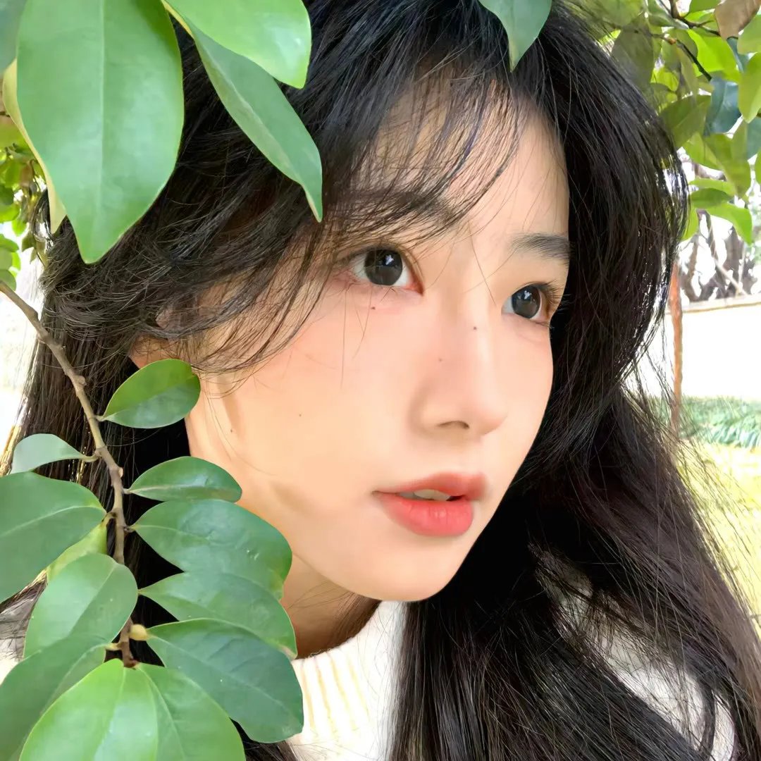 谜样的情人